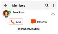 "Call" is in "More Options" for the room member.
