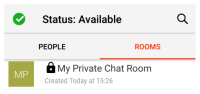 The new private chat room is in "Rooms" and in "Messaging".