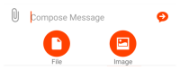 The "File" and "Compose" buttons are in "Compose Message".