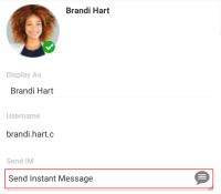 "Send Instant Message" is in Buddy details.