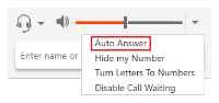 Auto Answer in the drop-down