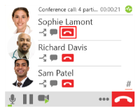 The "End call" button is beside the conference call participant in the call panel.