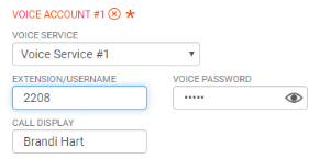 "Voice Service", "Extension/Username", "Voice Password", and "Call Display" are in "Voice Account".
