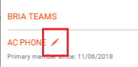 The "Rename Team" button is beside your team name.