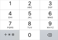 Numbers on the dialpad