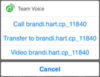 Call, transfer, video prompt for a team member