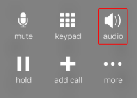 The "Audio" button with a headset or device speaker active.