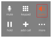 The "Audio" button with speakerphone active.
