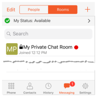 iPhone: A new indicator appears on the chat room and on the "Messaging" badge.