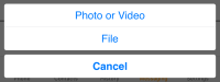 The option to select Photo or Video, File, or Cancel
