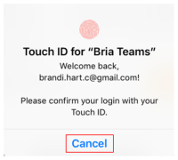 The "Cancel" button is on "Touch ID for "Bria"".