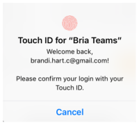 "Please confirm your login with your Touch ID" is on "Touch ID" for "Bria"".